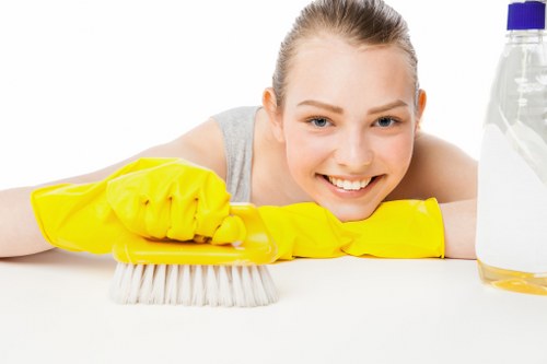 Deep rug cleaning results for Watford properties
