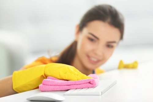 Upholstery cleaning process for a living room sofa