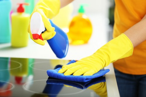 Restoring carpets, sofas, and mattresses with stain removal